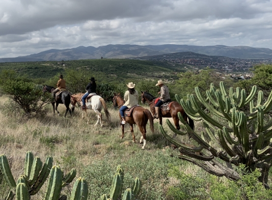 Guest on the horse trail at Rancho SOl Dorado